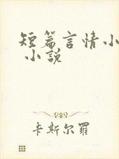短篇言情小说集 小说