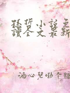 孙哲小说免费阅读全文最新章节