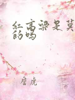 红高粱是莫言写的吗