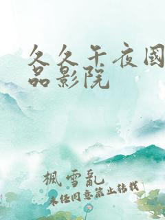 久久午夜国产精品影院