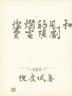 灿烂的风和海免费电视剧