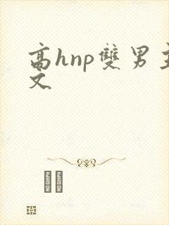 高hnp双男主文