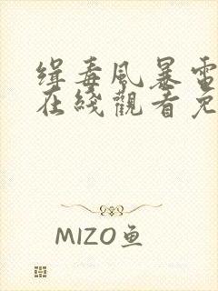 缉毒风暴电视剧在线观看免费完整版高清