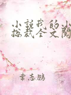 小说我的小姨是总裁全文阅读