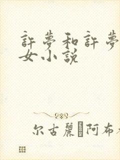 许梦和许梦洲父女小说