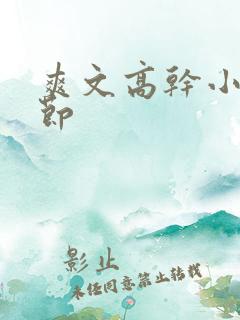 爽文高干小说情节