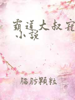 霸道大叔宠甜妻 小说