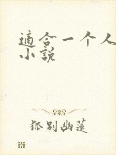 适合一个人看的小说