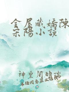 金屋藏娇陈丽珍宋阳小说
