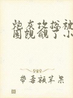 炮灰攻总被主角团觊觎了小说