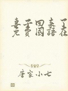 妻子回来了韩剧免费国语在线观看