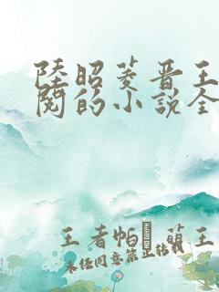 陆昭菱晋王周时阅的小说全文免费阅读无弹窗