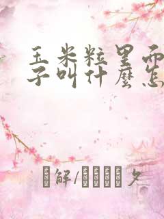 玉米粒里面的虫子叫什么怎么去除