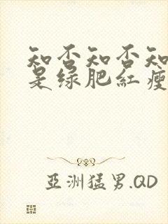 知否知否知否应是绿肥红瘦谁唱的