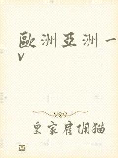 欧洲亚洲一级av