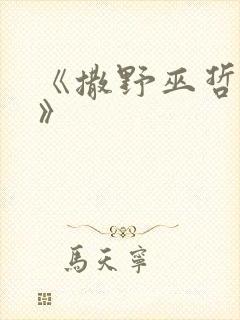 《撒野巫哲小说》