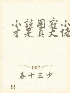 小说团宠小师妹才是真大佬免费阅读