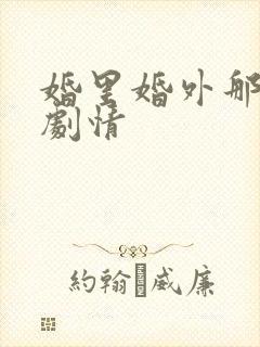 婚里婚外那些事剧情