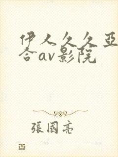 伊人久久亚洲综合av影院