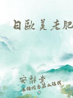 日欧美老肥率悠