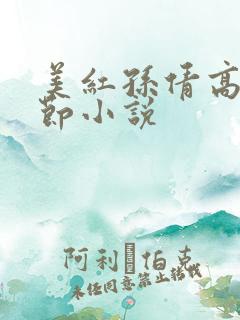 美红孙倩高义章节小说