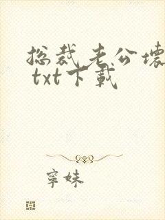 总裁老公坏又甜 txt下载