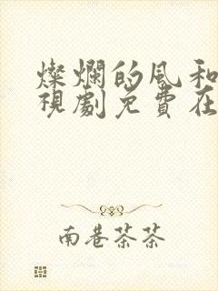 灿烂的风和海电视剧免费在线观看