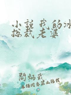 小说 我的冰山总裁老婆