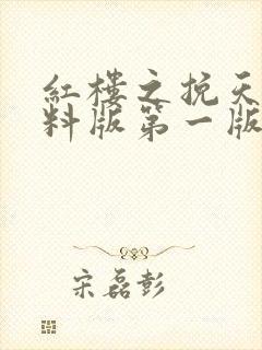 红楼之挽天倾加料版第一版主
