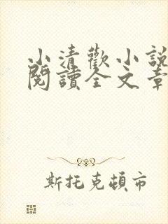 小清欢小说免费阅读全文章节