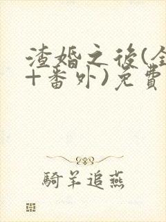 渣婚之后(全文+番外)免费阅读