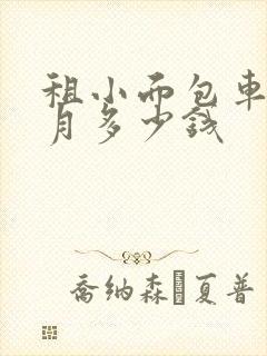 租小面包车一个月多少钱