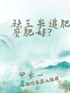 秋玉米追肥用什么肥好?