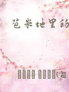 苞米地里的春光