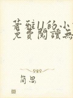 萧雅11的小说免费阅读无弹窗最新章节