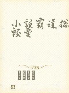 小说霸道总裁轻轻爱