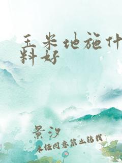 玉米地施什么肥料好