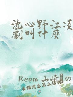 沈心野江凌云短剧叫什么