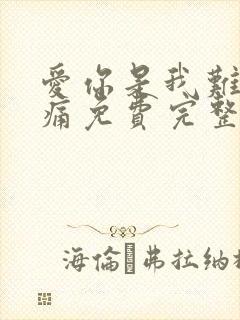 爱你是我难言的痛免费完整