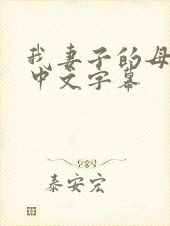 我妻子的母亲2中文字幕