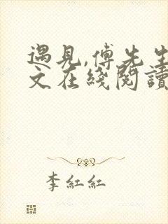 遇见,傅先生全文在线阅读