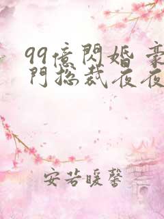 99亿闪婚 豪门总裁夜夜忙