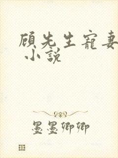 顾先生宠妻有度 小说