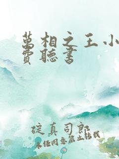 万相之王小说免费听书