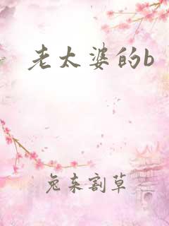 老太婆的b