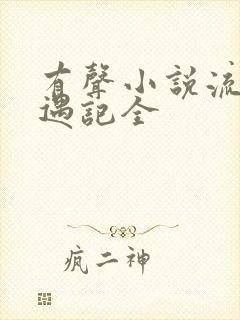 有声小说流氓艳遇记全