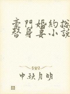 豪门婚约总裁的替身妻小说全文