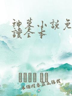 神墓小说免费阅读全本