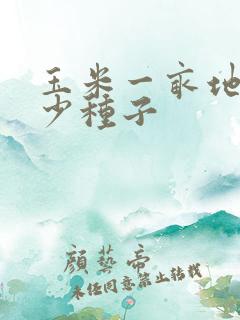 玉米一亩地用多少种子