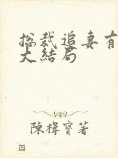 总裁追妻有点甜大结局